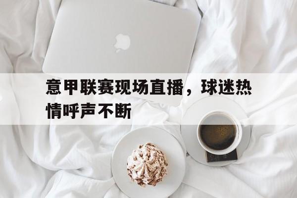 意甲联赛现场直播，球迷热情呼声不断